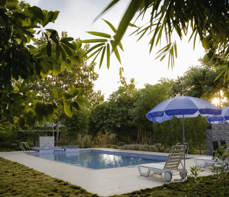 Top Reasons Why Wagharanya is the Best Resort in Tadoba