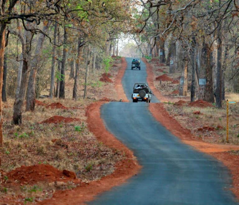 Wagharanya: The Perfect Base for Your Tadoba Jeep Safari