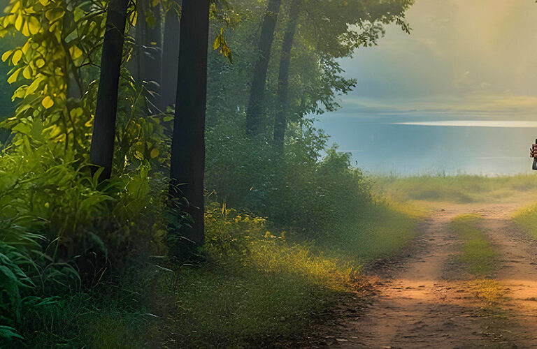 Escape into Nature at the Best Jungle Resort in Tadoba